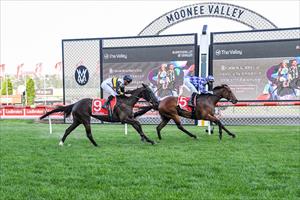 Evie Girl & Jye McNeil, Moonee Valley 20 Nov 2020